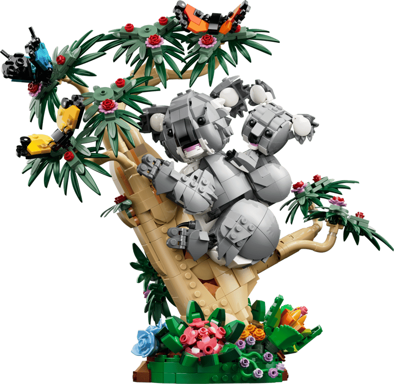 Wild Animals: Family of Koalas