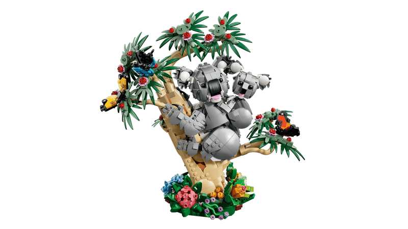 Wild Animals: Family of Koalas