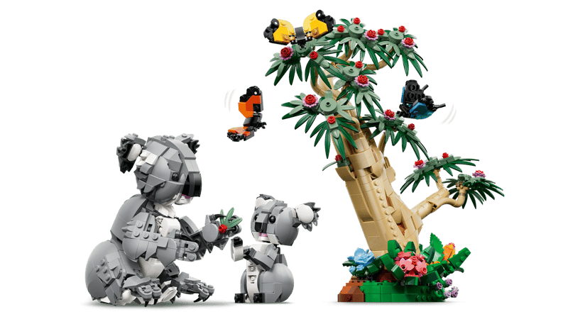 Wild Animals: Family of Koalas