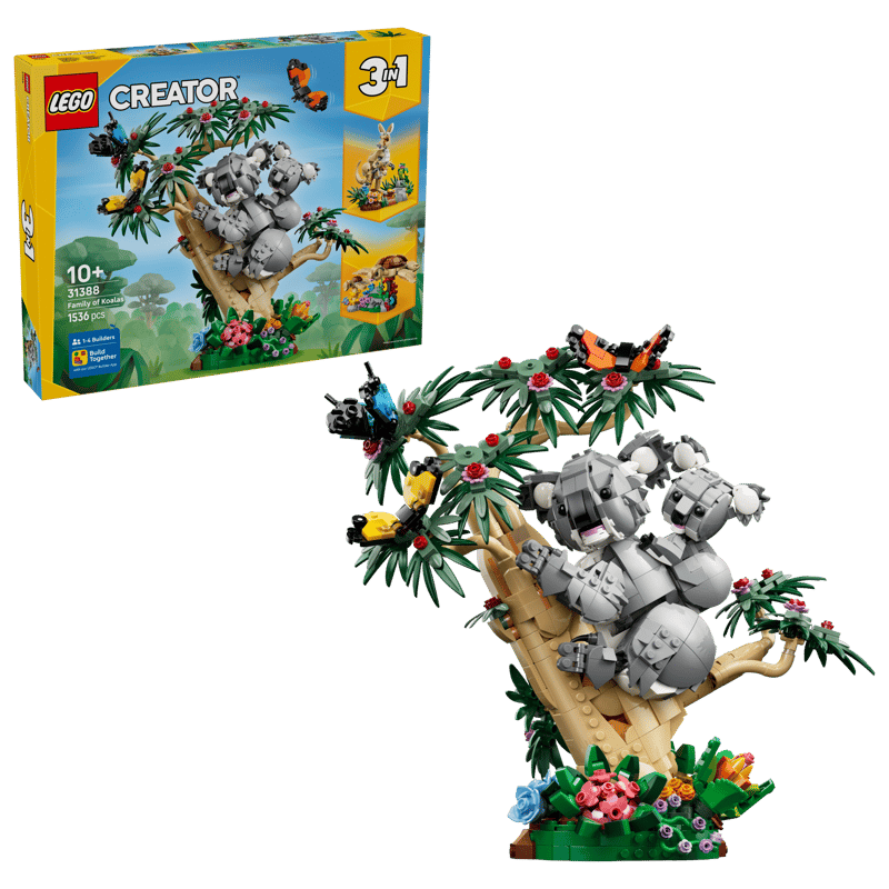 Wild Animals: Family of Koalas