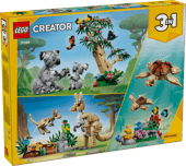 Wild Animals: Family of Koalas