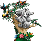 Wild Animals: Family of Koalas