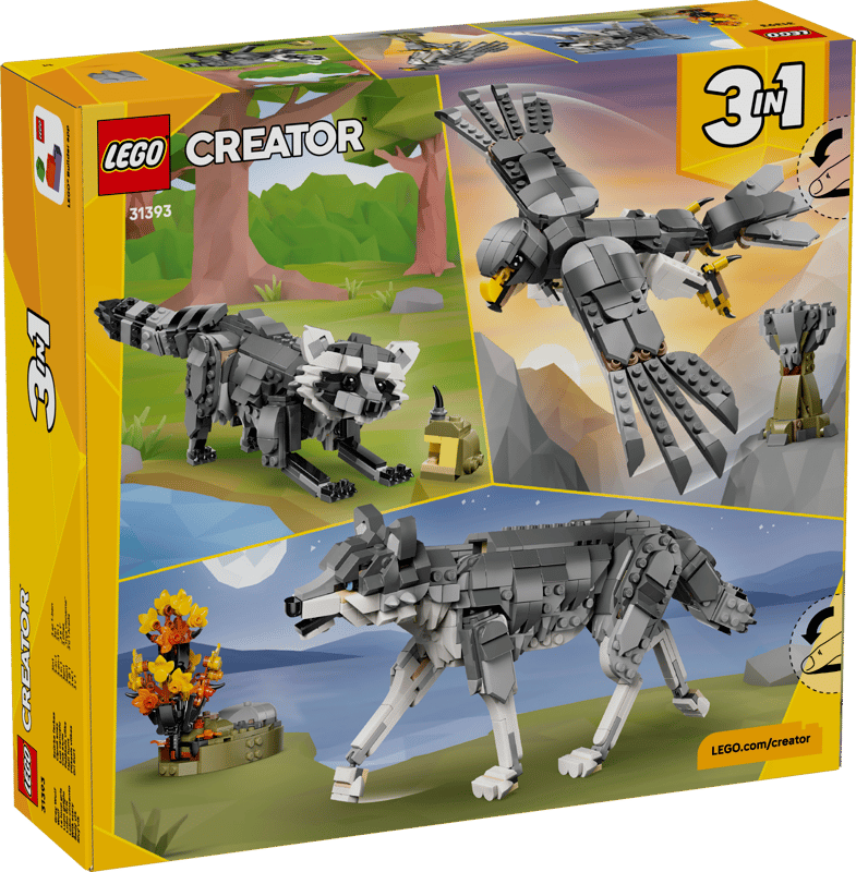 Forest Animals: Gray Wolf