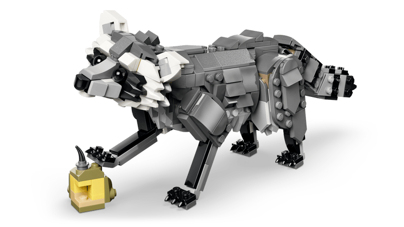 Forest Animals: Gray Wolf