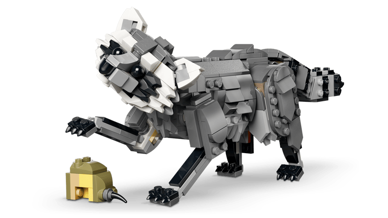 Forest Animals: Gray Wolf