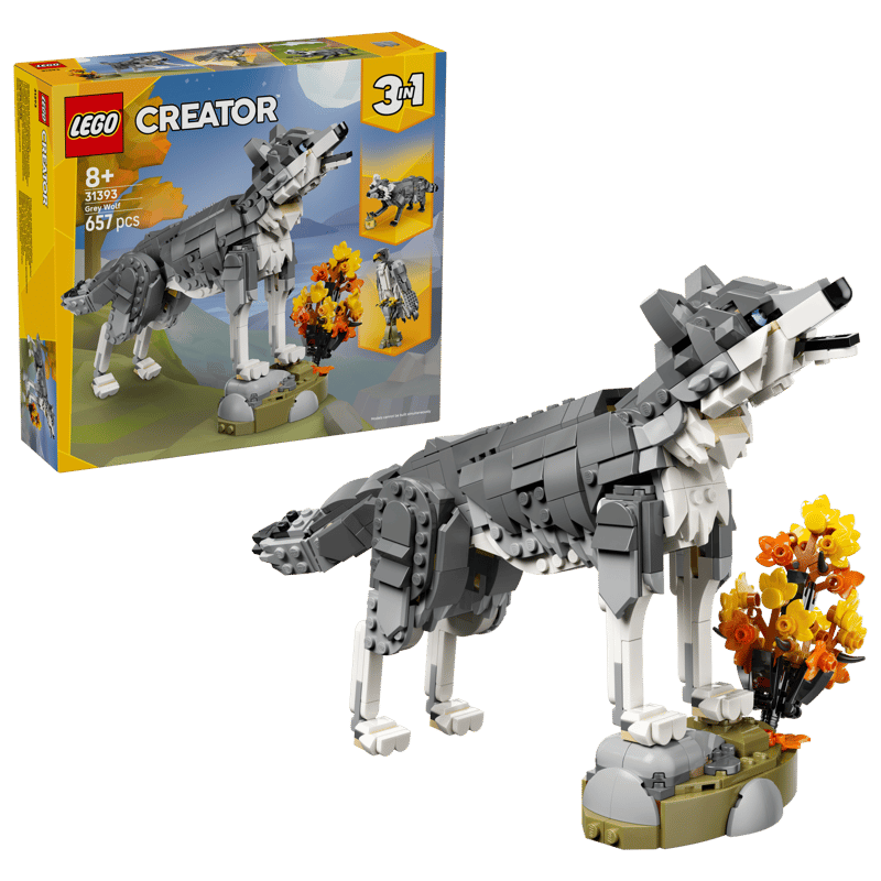 Forest Animals: Gray Wolf