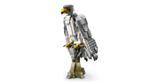 Forest Animals: Gray Wolf