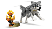 Forest Animals: Gray Wolf