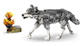 Forest Animals: Gray Wolf