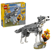 Forest Animals: Gray Wolf