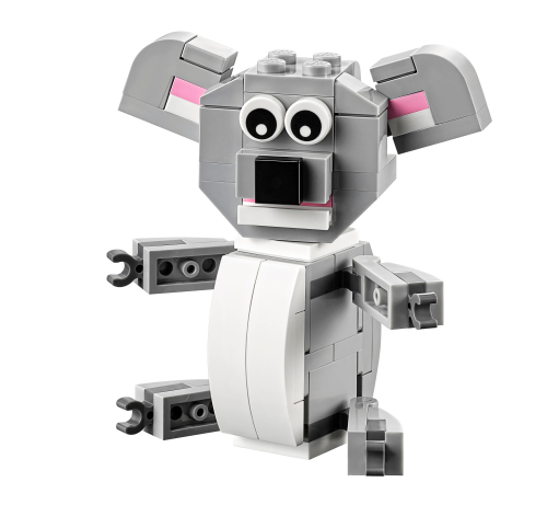 Koala