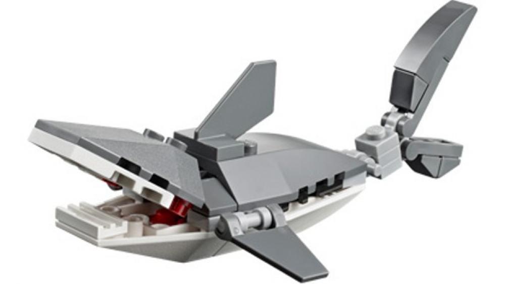 Shark