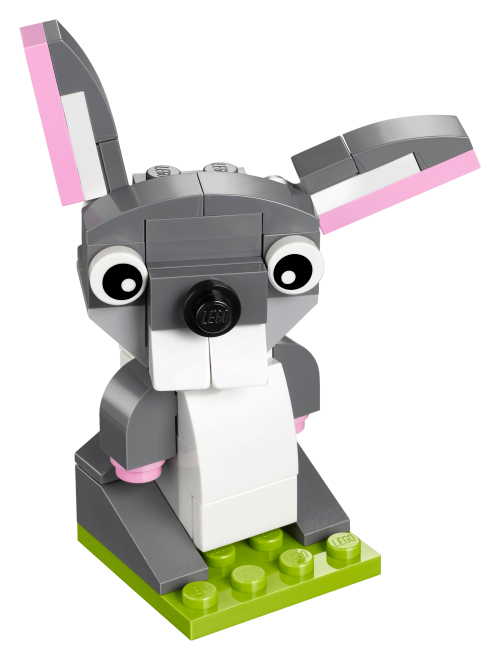 Bunny