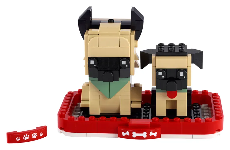 German Shepherd and Puppy