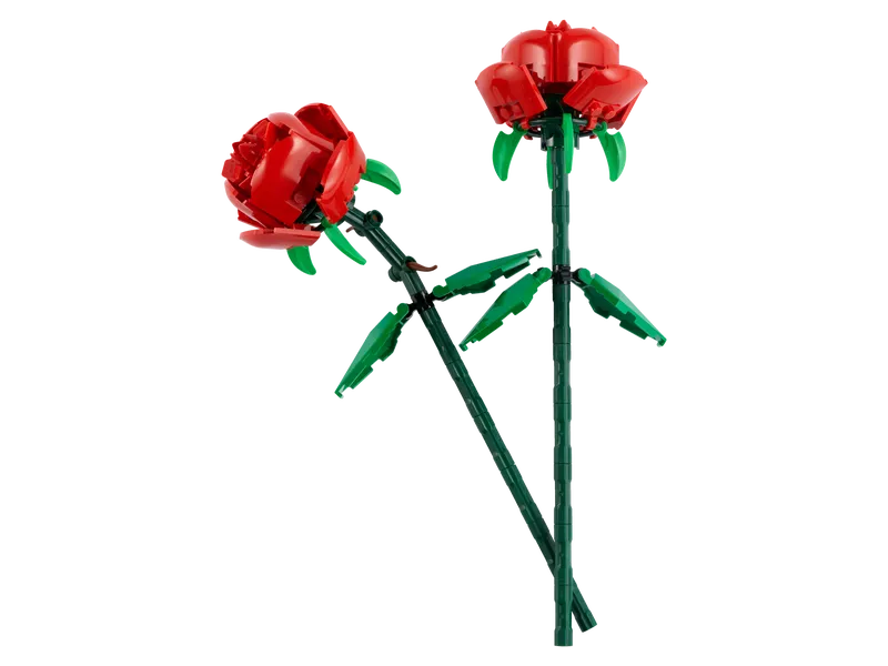 Roses