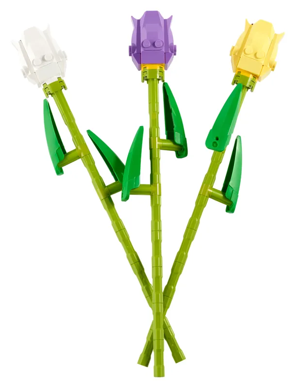 Tulips