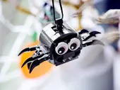 Spider &amp; Haunted House Pack