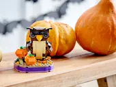 Halloween Owl