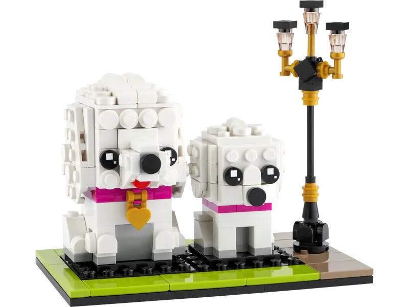Poodle