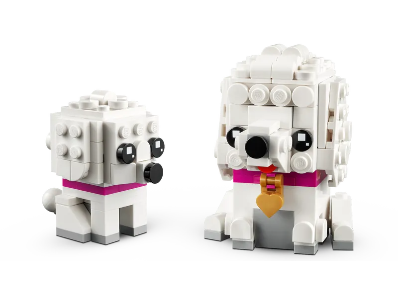 Poodle