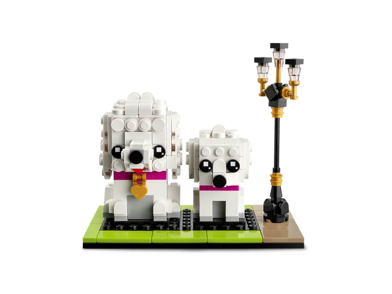 Poodle