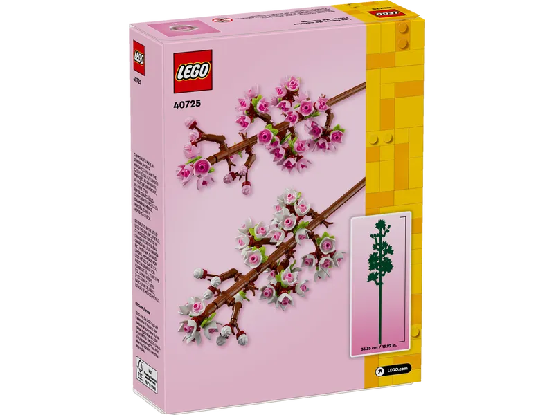 Cherry Blossoms