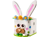 Easter Bunny Surprise