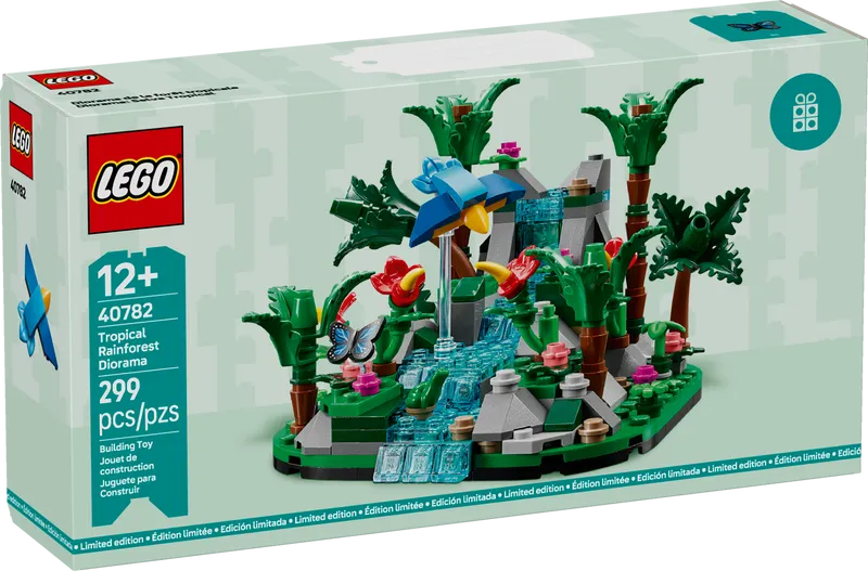 Tropical Rainforest Diorama