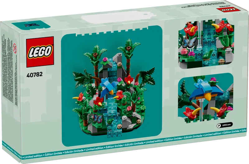 Tropical Rainforest Diorama