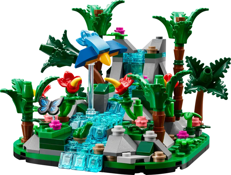 Tropical Rainforest Diorama