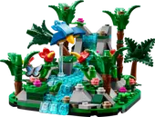 Tropical Rainforest Diorama