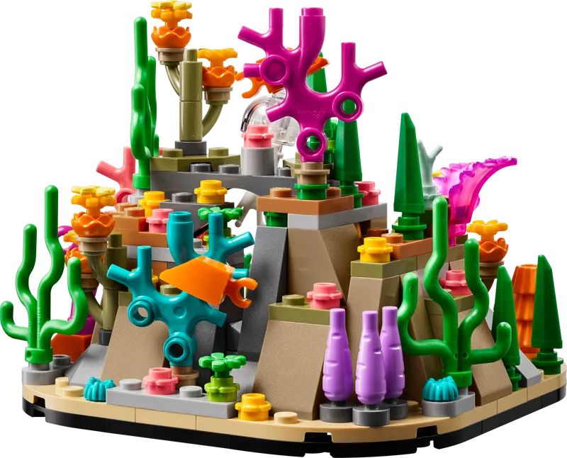 Coral Reef Diorama