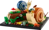 Friendly Snails