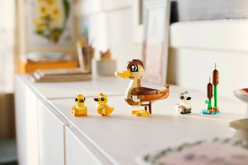 Duck Family