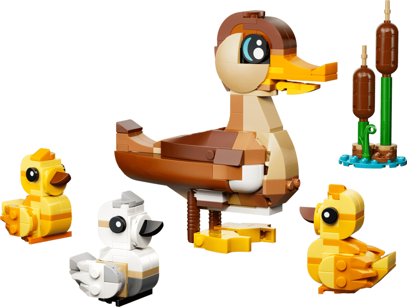 Duck Family