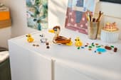Duck Family