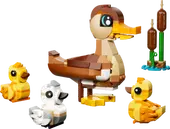 Duck Family