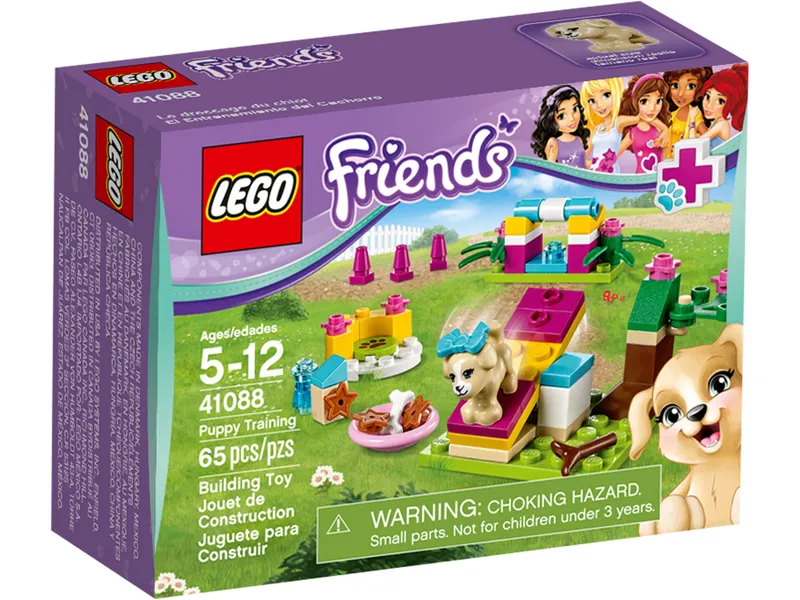 Puppy Training