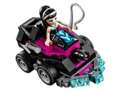 Lashina Tank