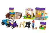 Mia's Foal Stable