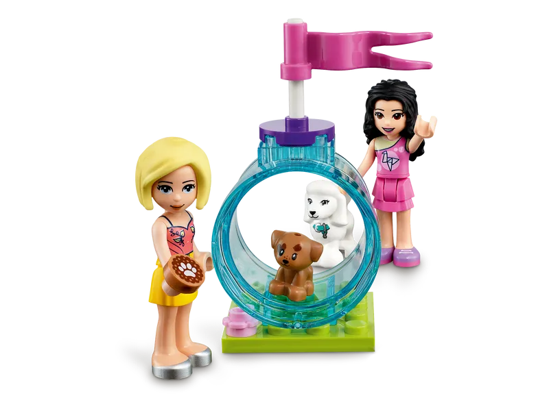 Doggy Day Care