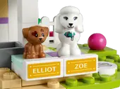 Doggy Day Care
