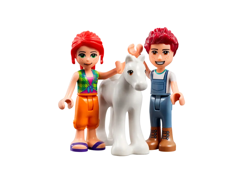 Pony-Washing Stable