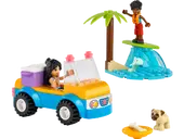 Beach Buggy Fun