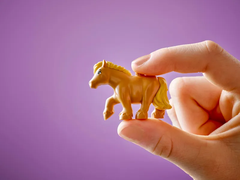 Pony Ranch &amp; Stable