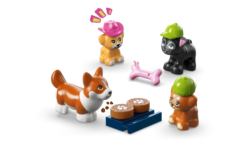 Dog Treats Bakery