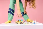 Pet Accessories Van