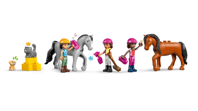 Horse Stable and Riding Academy