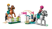 Horse Stable and Riding Academy