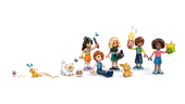 Heartlake City Friends Club House